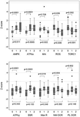 Cellular Bioenergetics and AMPK and TORC1 Signalling in Blood Lymphoblasts Are Biomarkers of Clinical Status in FMR1 Premutation Carriers